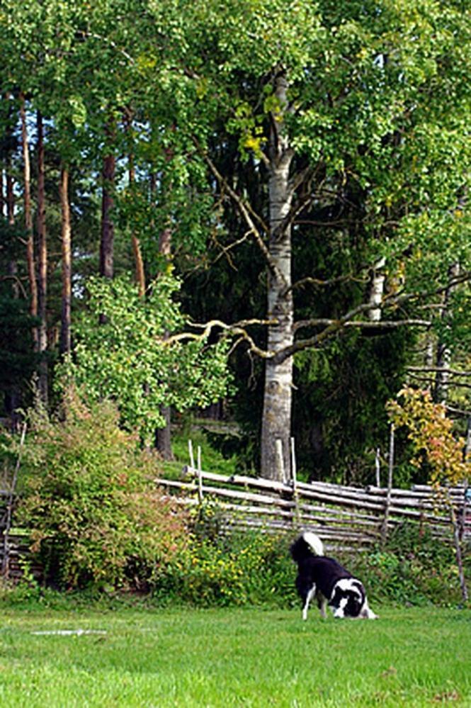 Smultronboda Fargard Edsbruk Exteriér fotografie