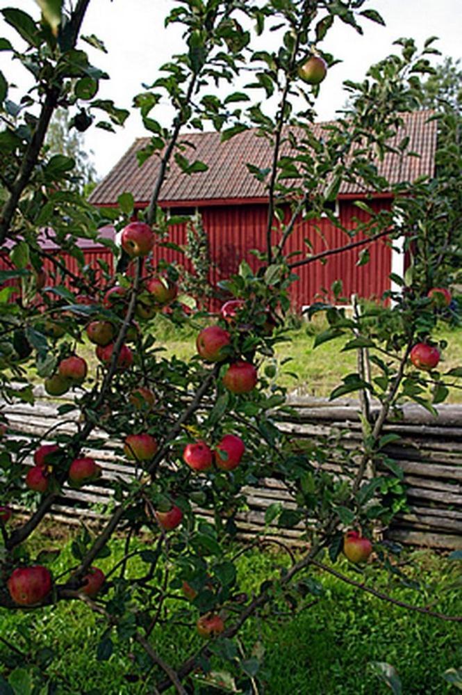 Smultronboda Fargard Edsbruk Exteriér fotografie